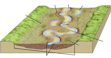 Meandering River Anatomy Quiz By T Rev