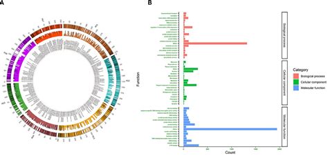 Frontiers Development Of A New AgriSeq 4K Mid Density SNP Genotyping