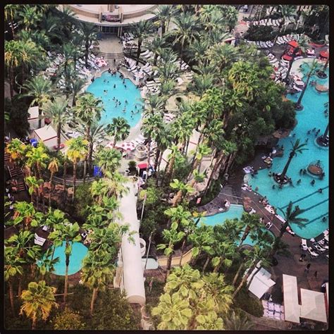 Flamingo Go Pool - 31 Photos - Swimming Pools - The Strip - Las Vegas ...