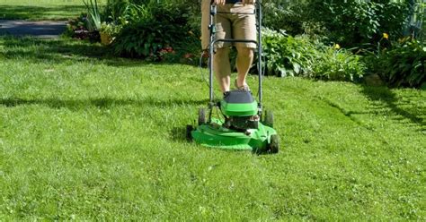 The Best And Worst Time Of Day To Mow Your Lawn Envirospray