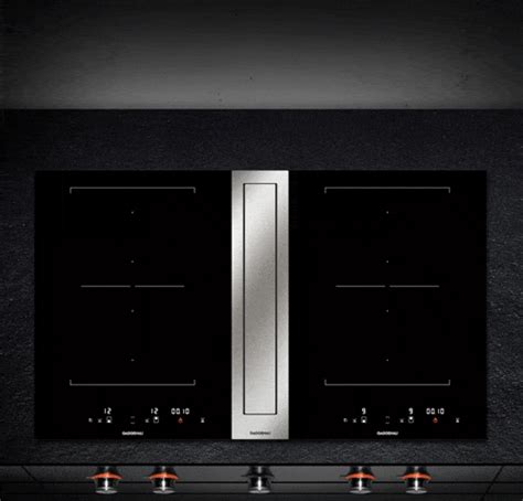 5 Best Induction Cooktop With Downdraft Reviews | Reviewho