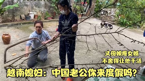 丈母娘什么活都不舍得中国女婿做，越南媳妇看不下去了：快去干活 Youtube