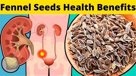 Top 15 Health Benefits Of Fennel Seeds YouTube