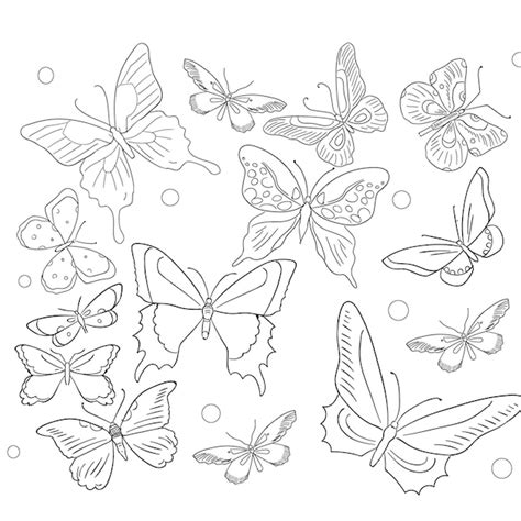 Premium Vector Collection Of Vector Hand Drawn Butterflies