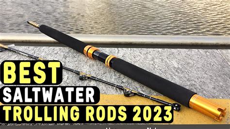 Best Saltwater Trolling Rods In Top Guide Youtube