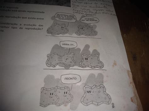 São Características Do Tipo De Reprodução Representado Na Tirinha