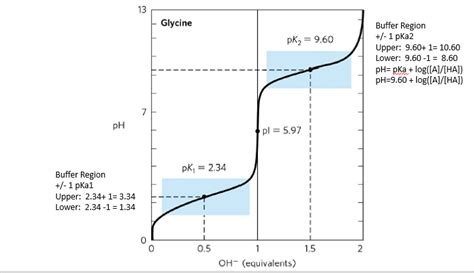 Titration Curve Buffer Region