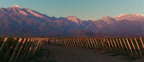 Wineries Tours Mendoza - All You Need to Know BEFORE You Go