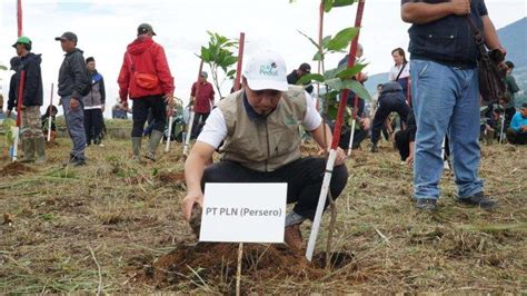 Bangun Jiwa Sosial Pegawai Pln Uip Jbt Terjun Jadi Volunteer Tanam