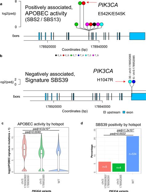 Relationship Between Pik Ca Hotspot Mutations And Mutational Signature