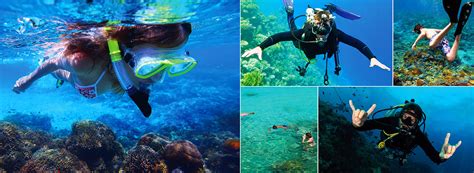 Diving And Snorkelling Tours In Bar Reef Kalpitiya Best Of Lanka