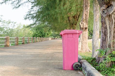 Pink Trash Can Stock Photos Pictures And Royalty Free Images Istock