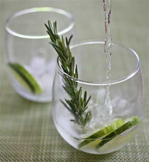 5 Consejos Para Preparar El Mejor Gin Tonic Artofit