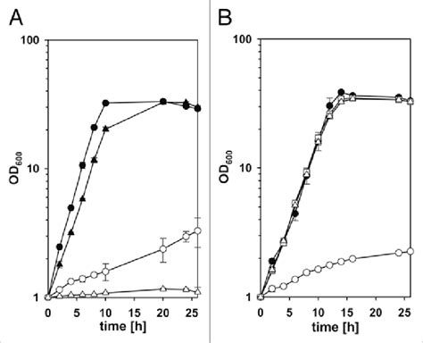 Growth Of Different C Glutamicum Strains In Cgxii Minimal Media