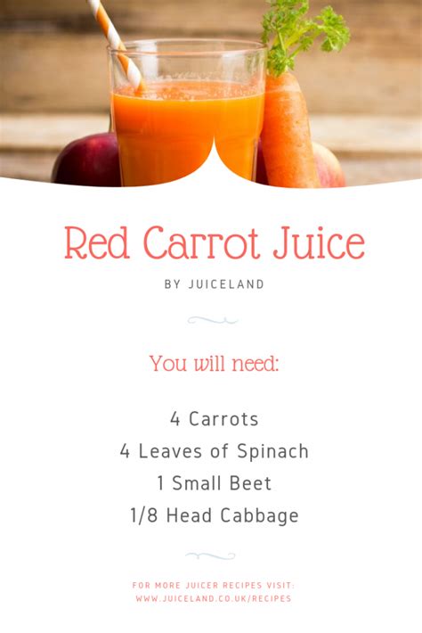 Red Carrot Juice Recipe Juiceland Uk