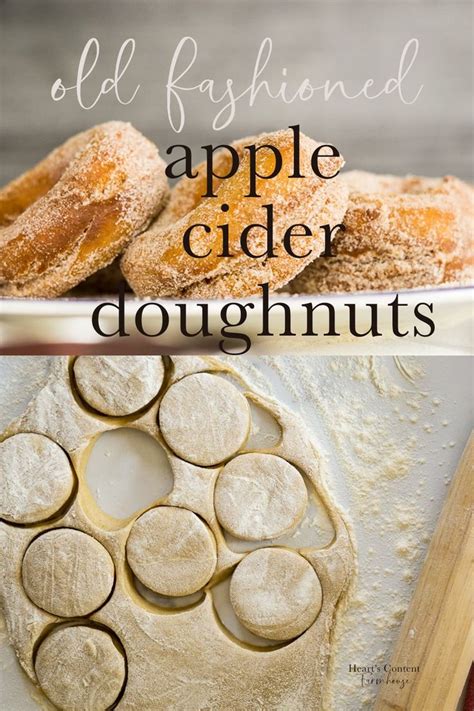 Deep Fried Apple Cider Doughnuts Recipe Doughnut Recipe Apple