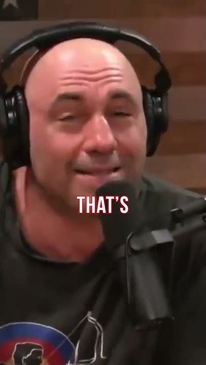 Joe Rogan The Soul Sucking Nature Of Office Jobs Youtube