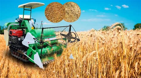 Mini Rice Cutter Rice Combine Harvester Wheat Reaper Binder Machine