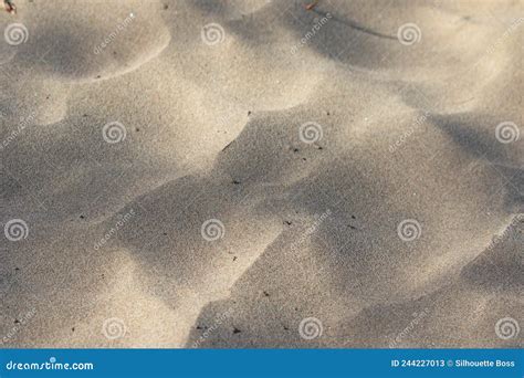 Areia Na Praia Areia Pequenas Dunas De Vento Imagem De Stock