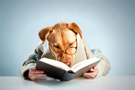 Gratis filmer cc - Var du hittar gratis filmer