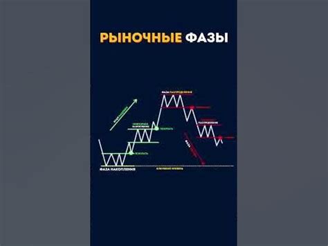 Фазы рынка - YouTube