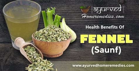 Health Benefits Of Fennel Seeds Saunf Nutritional Facts Of Fennel Seeds