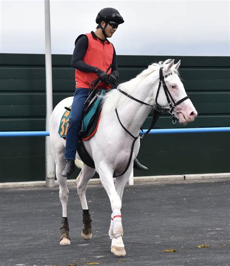 東スポ競馬 On Twitter 【注目新馬・日曜函館】白毛のアイドル候補 アオラキ は上々の仕上がりアピール 池添「動きとしては態勢が