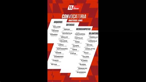 Convocados Para Amistosos Previos A La Copa América Canal N