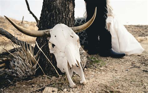 Download Western Wedding Aestheticwith Longhorn Skull Wallpaper