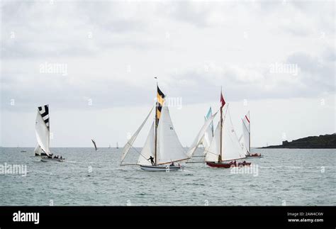 Traditional Falmouth Working Boats In Full Sail In The Breezes Of The