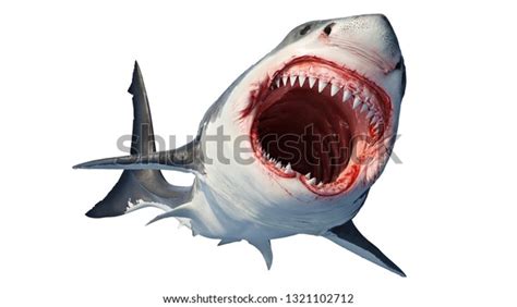 2,666 Shark Open Mouth Images, Stock Photos & Vectors | Shutterstock