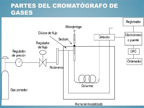 Ppt Cromatografía De Gases Powerpoint Presentation Free Download Id2581088