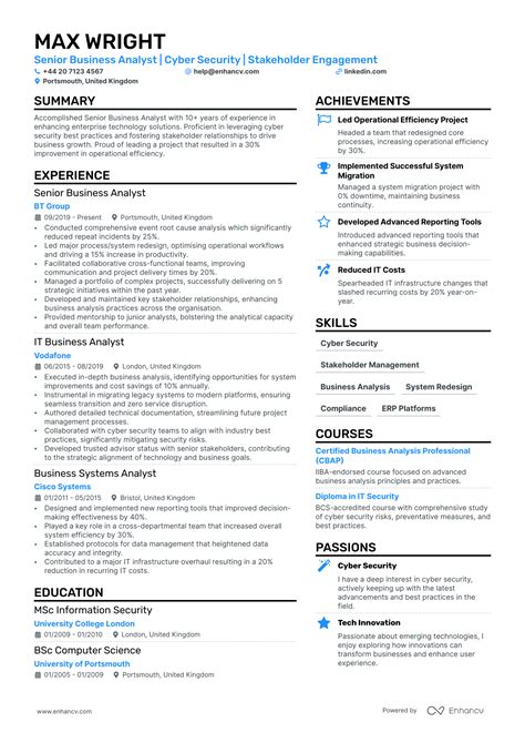 Senior Business Analyst Cv Examples Guide For