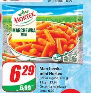 Promocja Marchewka Mini Hortex W Dino