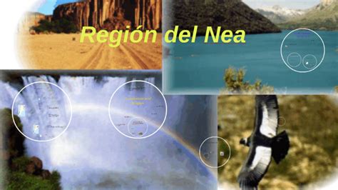 Región del Nea by Milagros Klug on Prezi