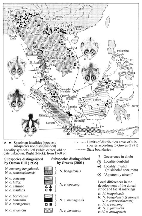 Nycticebus sp., slow loris distribution maps, locality information