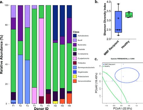 Metagenomic Shotgun Sequencing Profiles For Mmf Recipients Blue Download Scientific Diagram