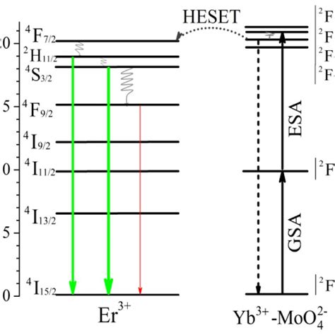 Energy Level Diagrams And Possible UC Mechanisms For The GMO Yb 3 Er