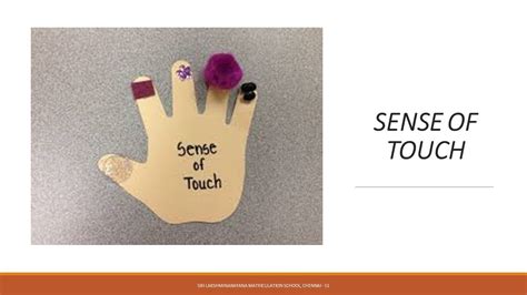 Sense Of Touch Activity To Learn Sense Of Touch For Kids Sln