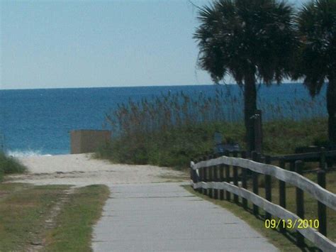 Myrtle Beach State Park Love It Here Myrtle Beach State Park Myrtle Beach State Parks