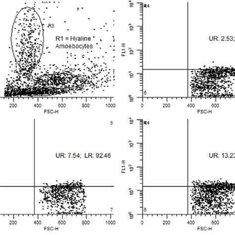 Representative Flow Cytometry Profile From Phagocytosis Assays Top