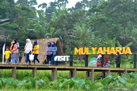 Wisata Kampung Tematik Mulyaharja Bogor ANTARA News