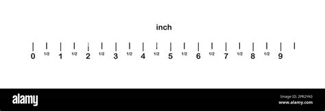 Measuring length markings in inches of ruler on white background ...