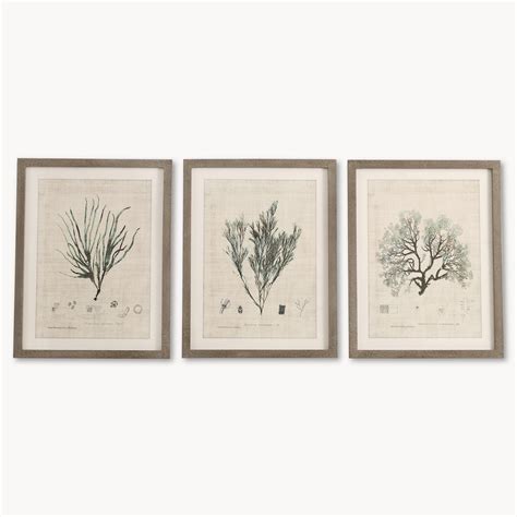 Brookby Set Of 3 Framed Botanical Wall Art Wall Art One World