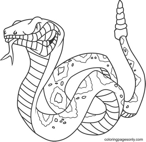 Angry Rattlesnake Coloring Pages Rattlesnake Coloring Pages P Ginas