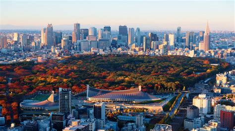 Exploring Yoyogi Park Tokyo S Urban Oasis For Nature Culture And Fun