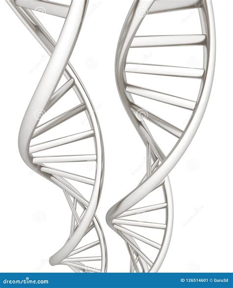 Dna Structure Model D Illustration Stock Illustration Illustration