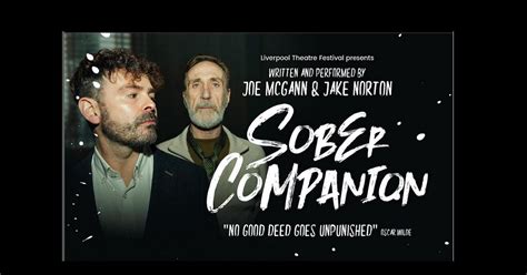 Joe Mcganns Sober Companion An Interview About An Intervention