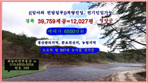 물건번호349 임야가 생산관리지역이고 준보전산지이고농림지역이면 더이상 볼것 없죠 게다가 차량진입 전기 인입도 가능하니