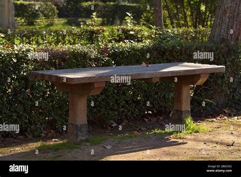 Wooden bench in the park Stock Photo - Alamy